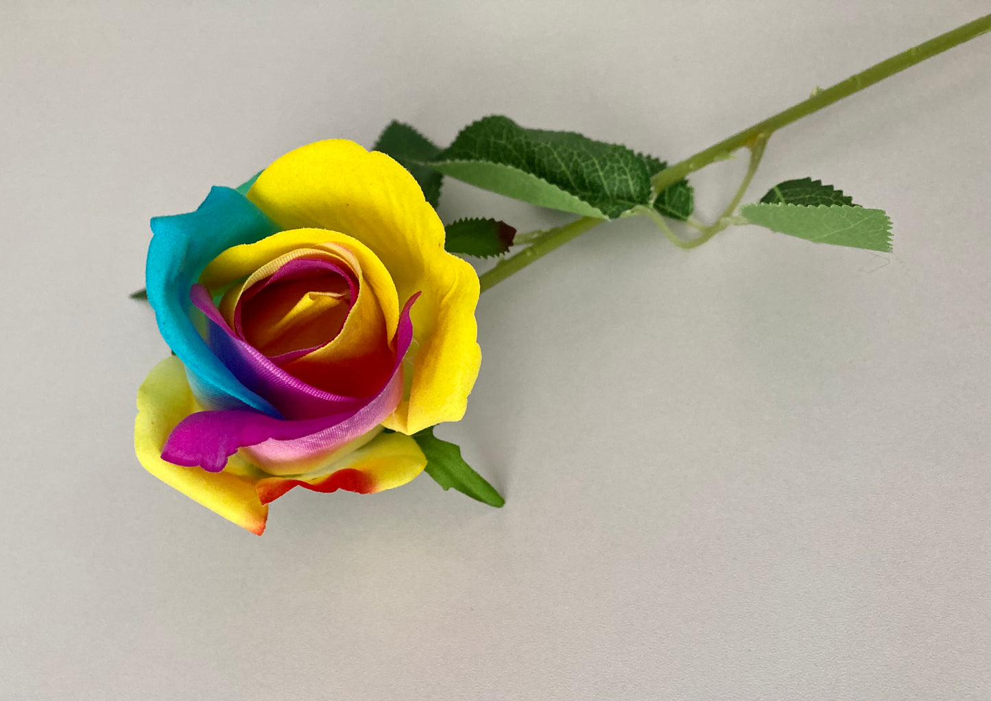 55cm Velvet Rainbow Rosebud