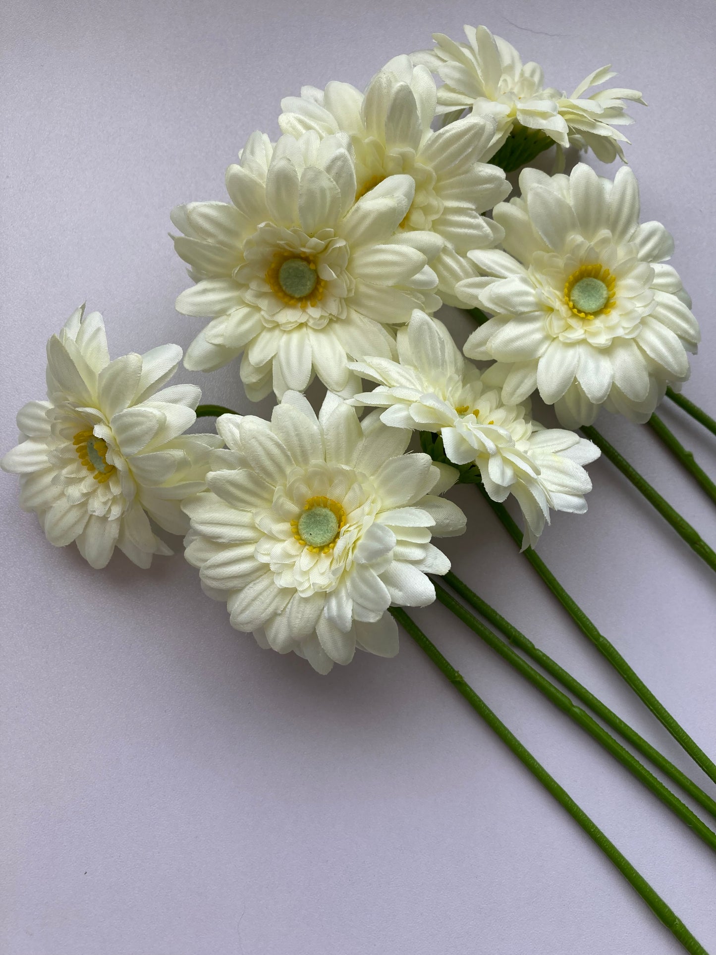 White Gerbera Bunch