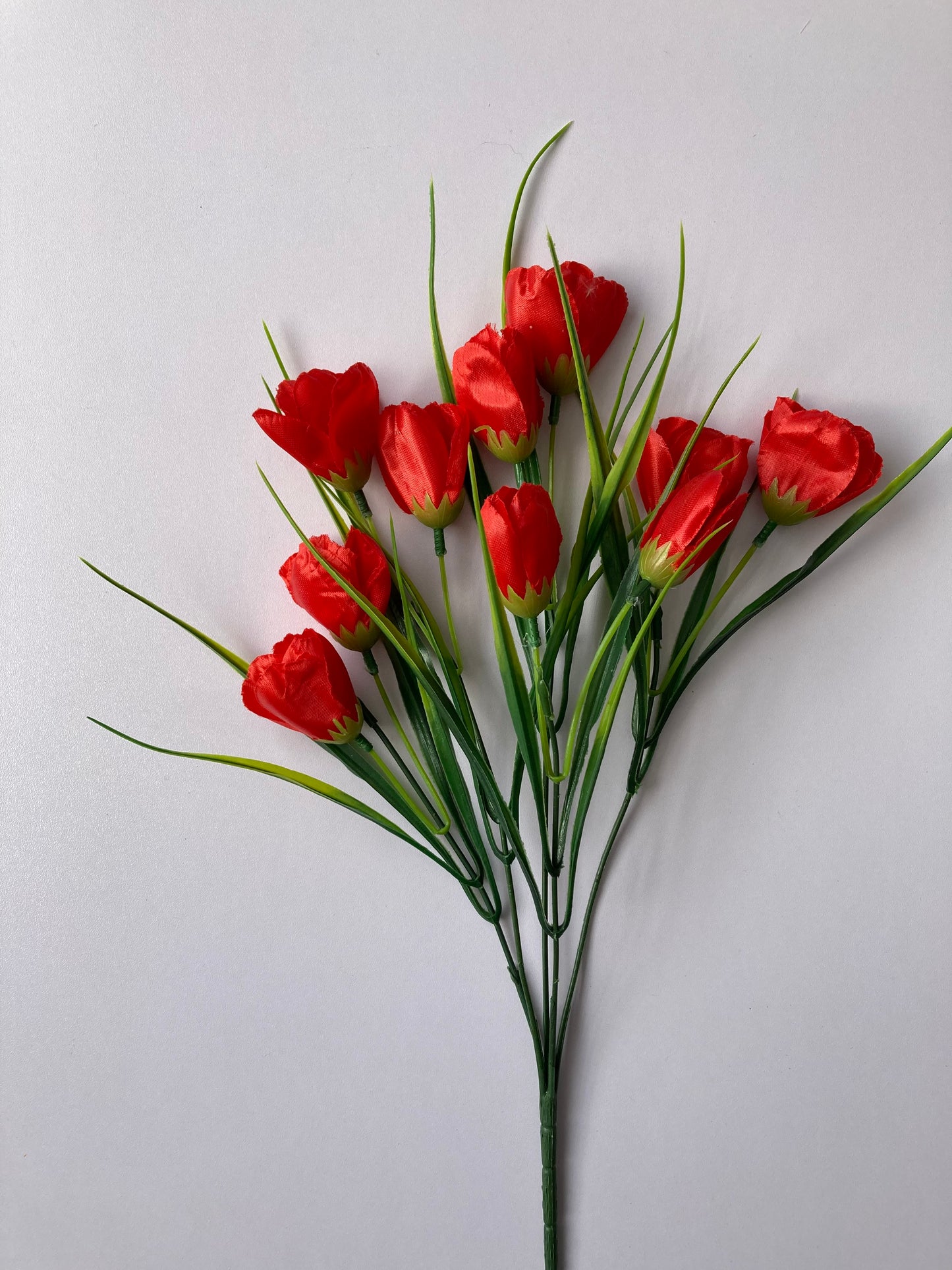 Red Tulip Bunch