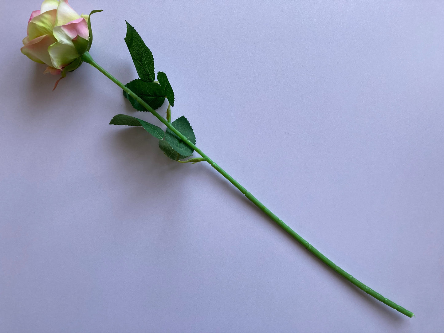 Pink & Green Small Rose