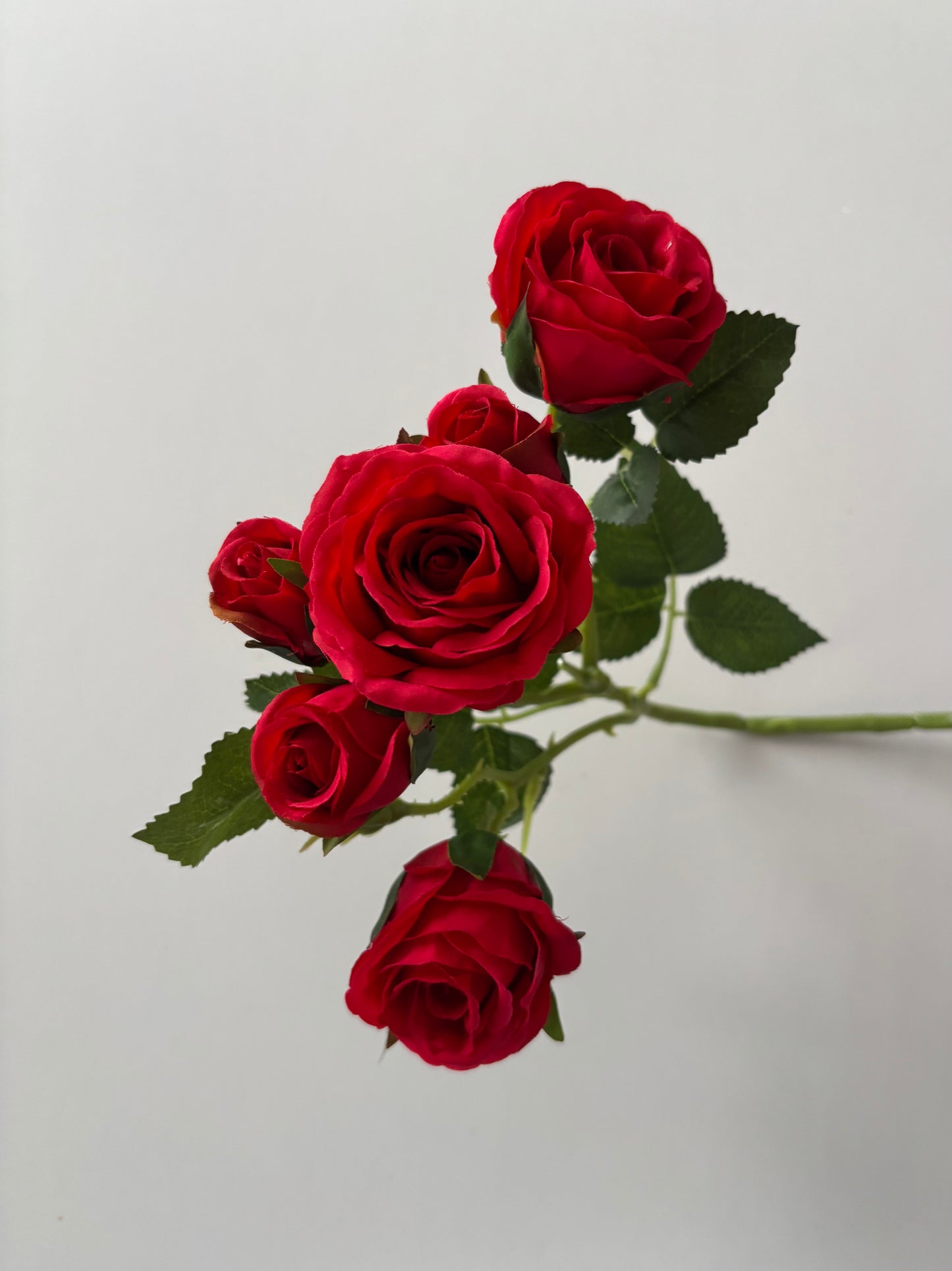 Red Rose Mixed Bud Spray