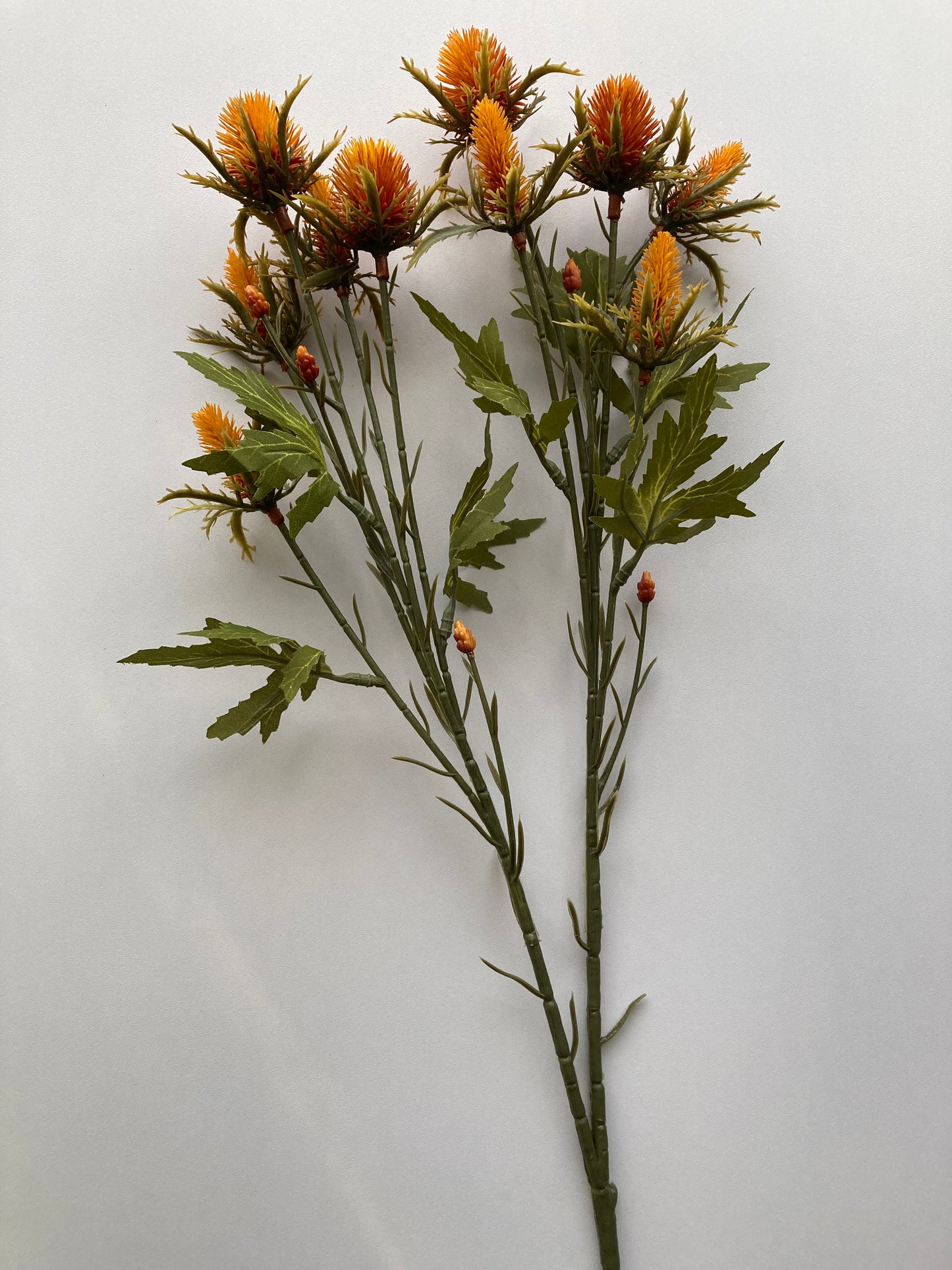 Dry Sea Holly Spray