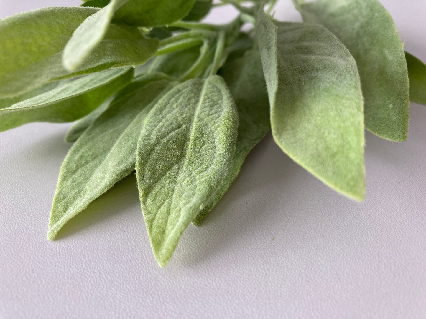 Flocked Sage Foliage Spray
