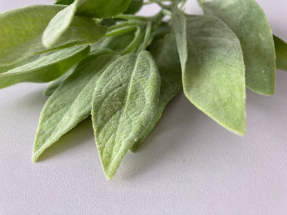 Flocked Sage Foliage Spray