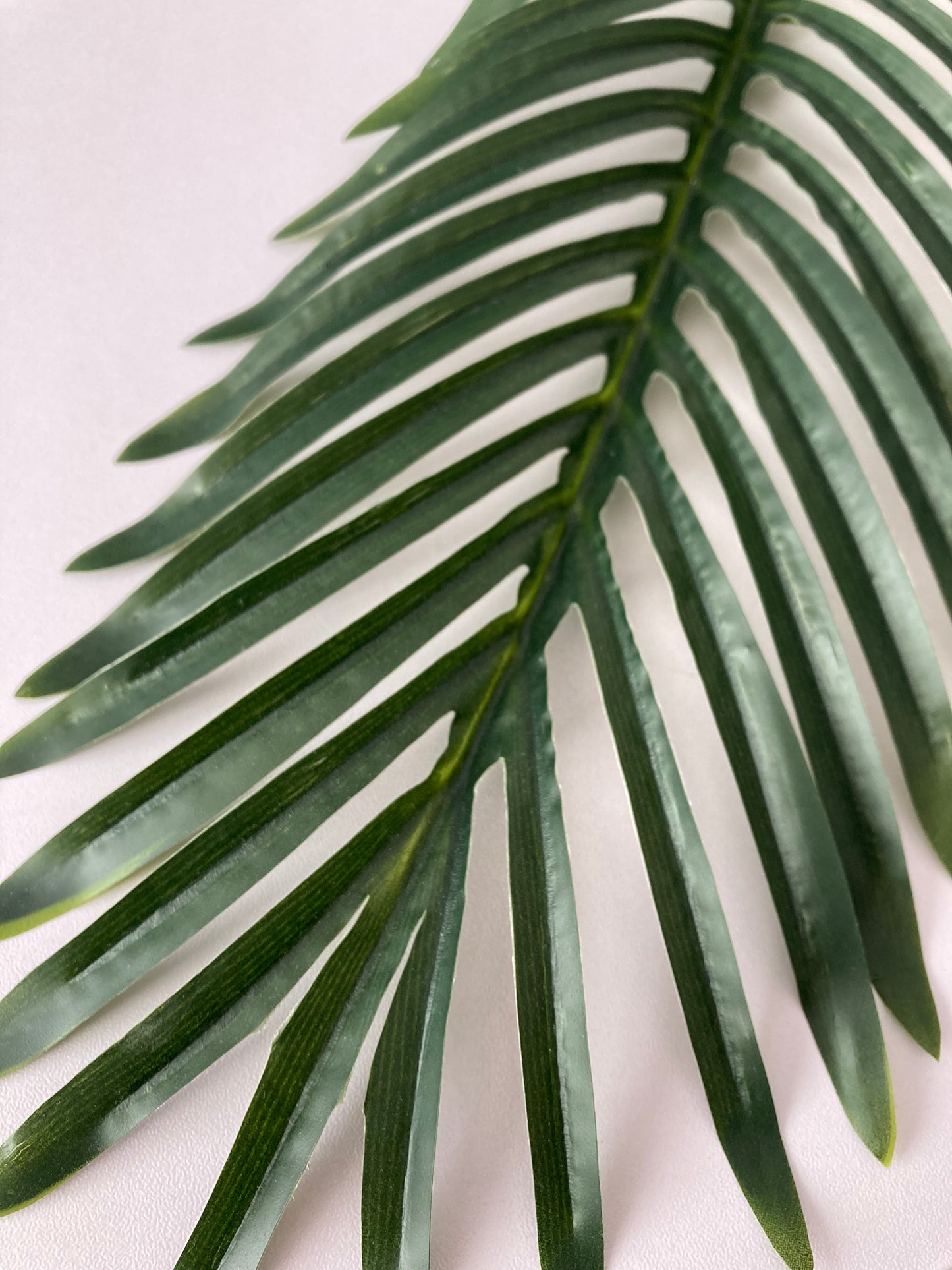 62cm Areca Palm Leaf