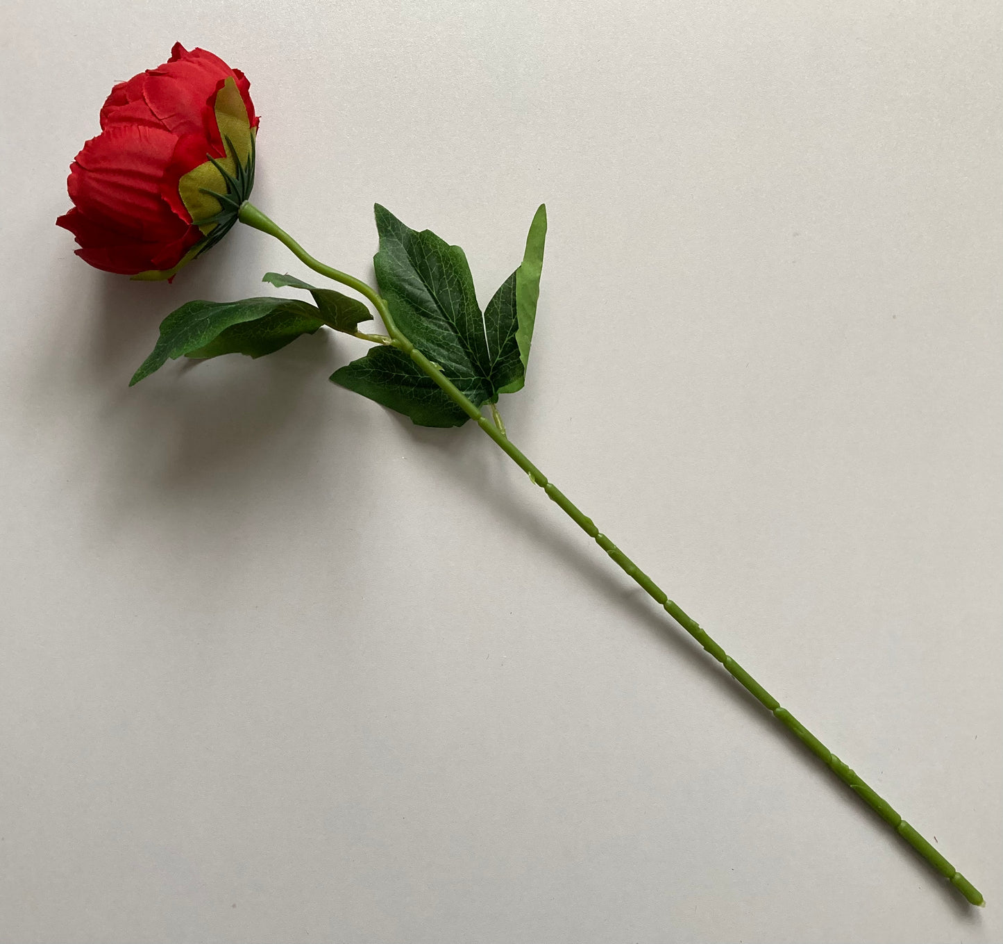 Red Peony Stem