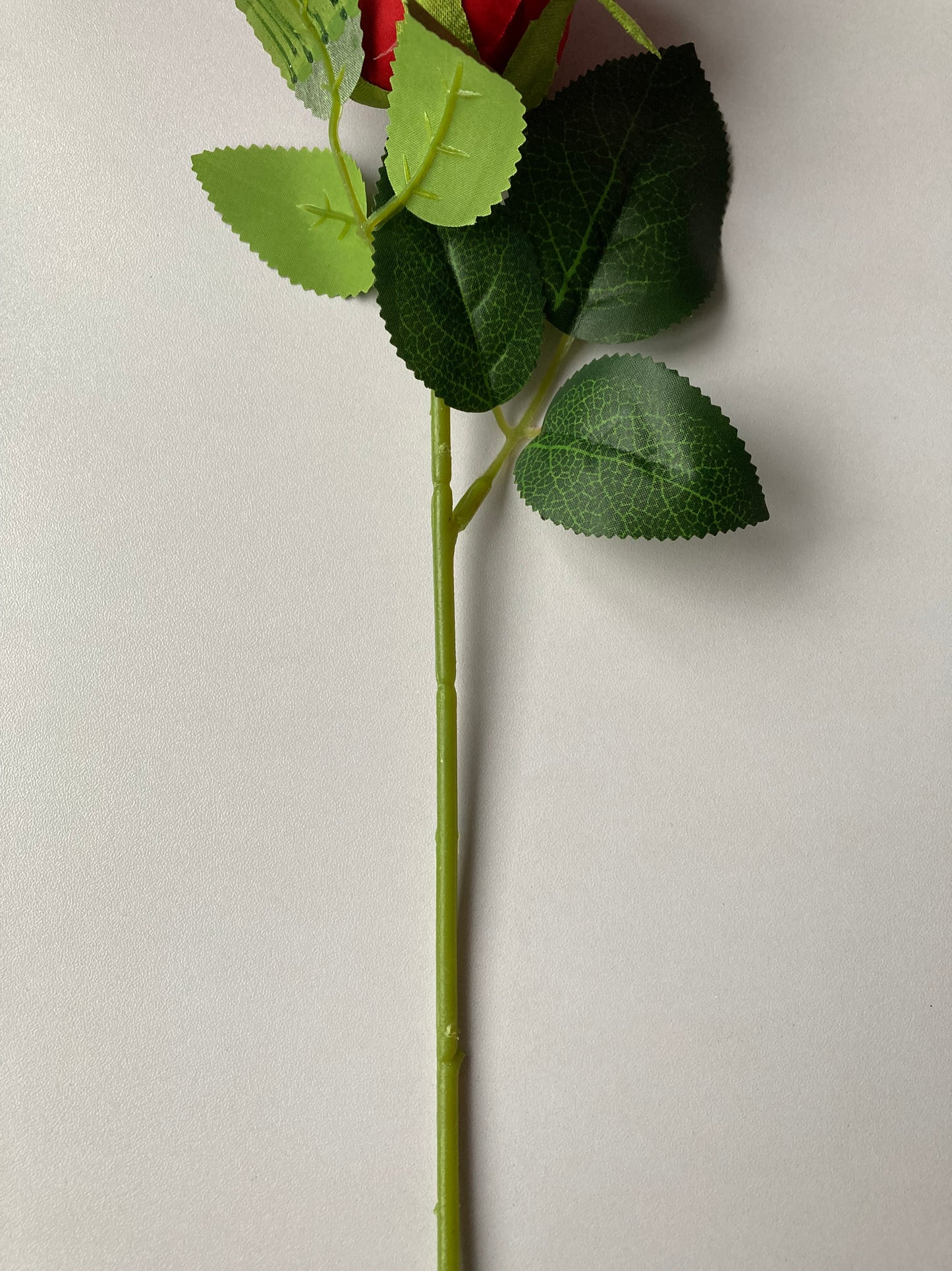 Short Stem Red Rose Bud