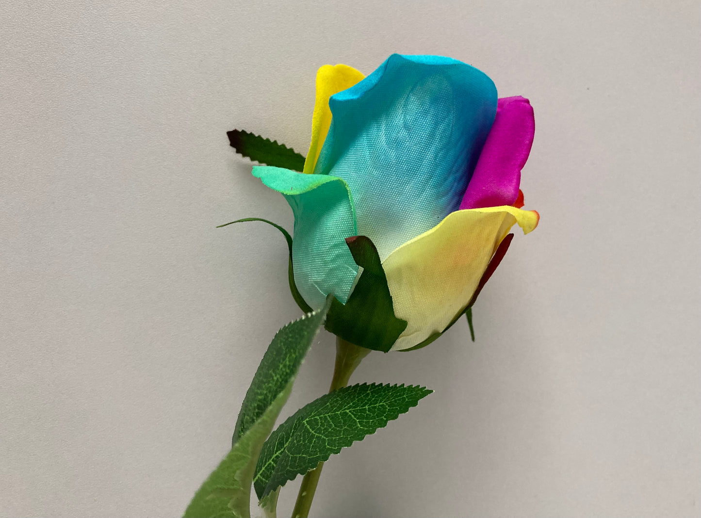 55cm Velvet Rainbow Rosebud