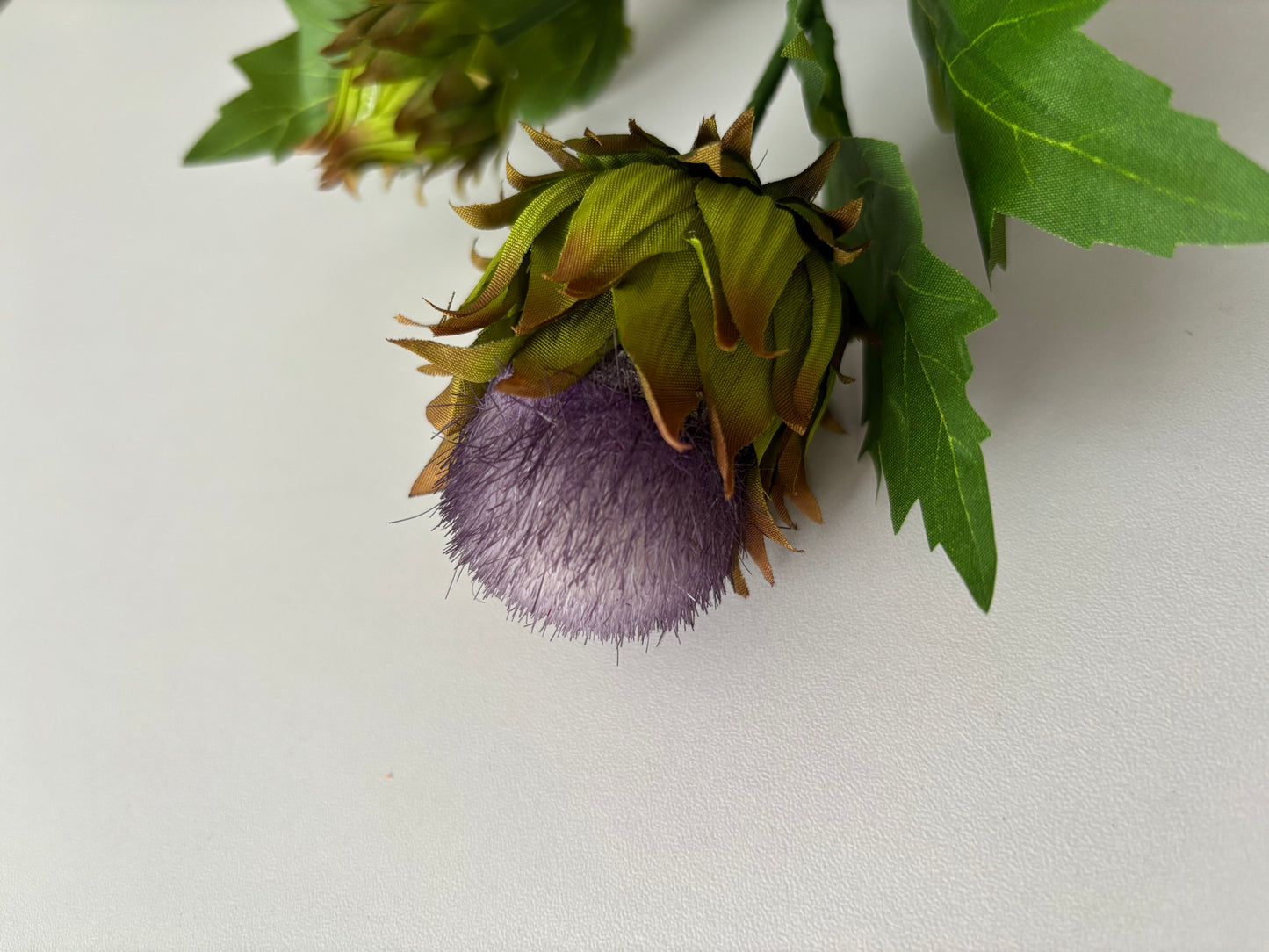 Thistle Spray