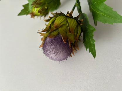 Thistle Spray