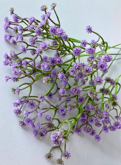 6 Stem Purple Gyp Bunch