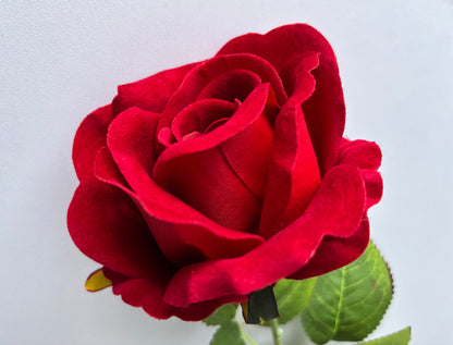 Long Stem Velvet Red Rose