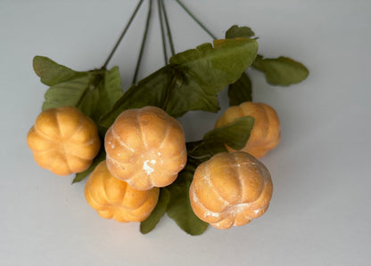 Soft Brown Pumpkin Bunch