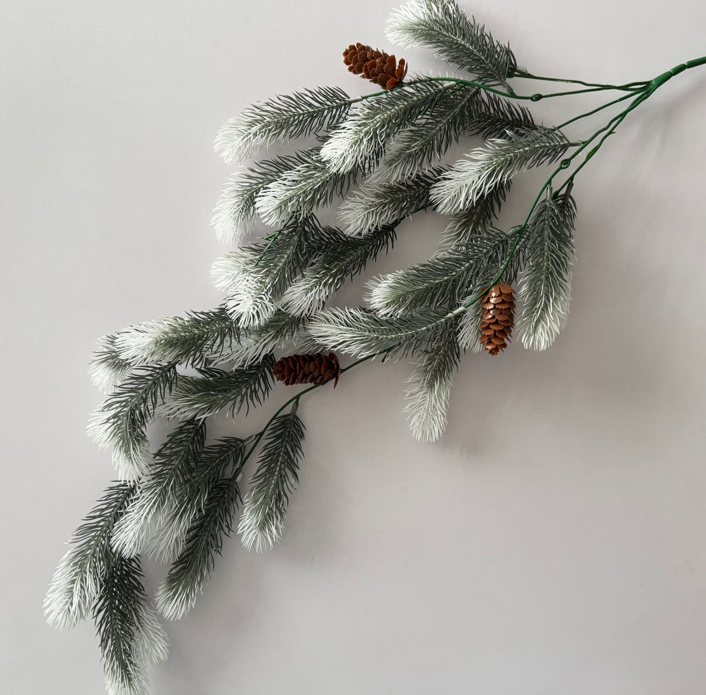 Snowy Tipped Spruce Trailing