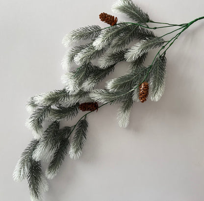 Snowy Tipped Spruce Trailing