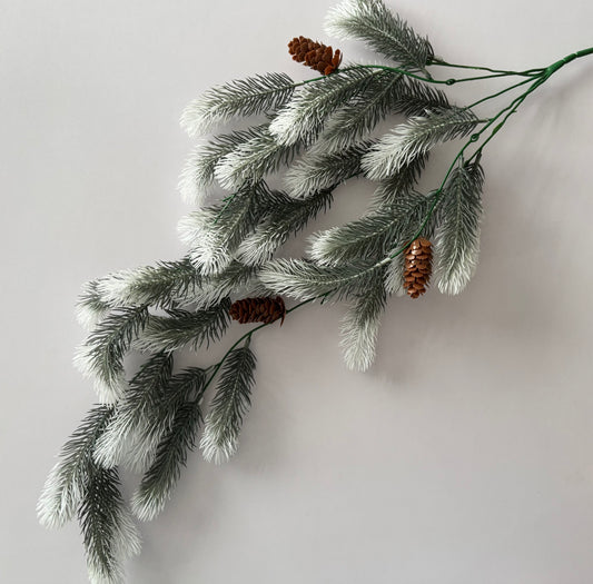 Snowy Tipped Spruce Trailing