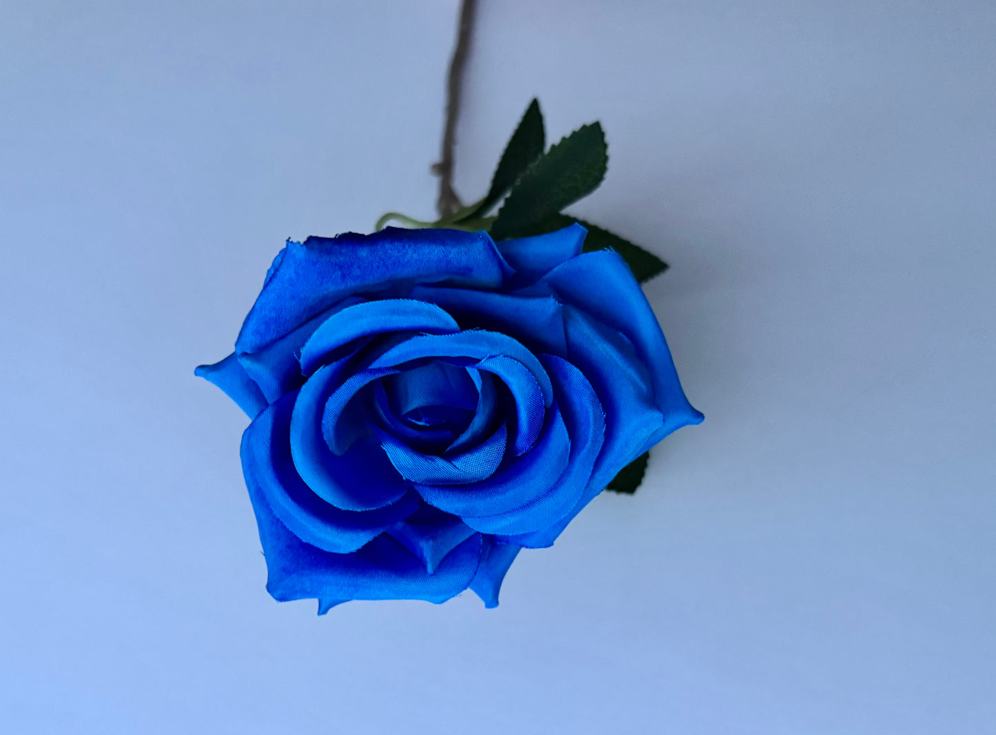 Diamond Blue Rose Stem
