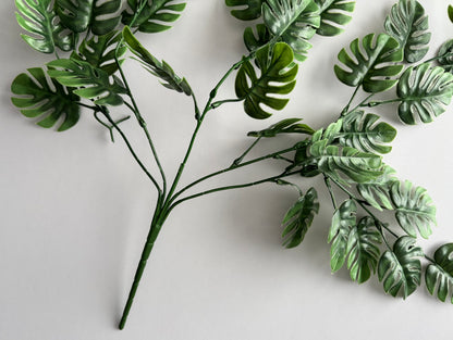 Trailing Monstera Leaf