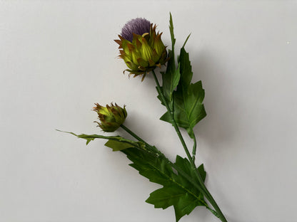 Thistle Spray