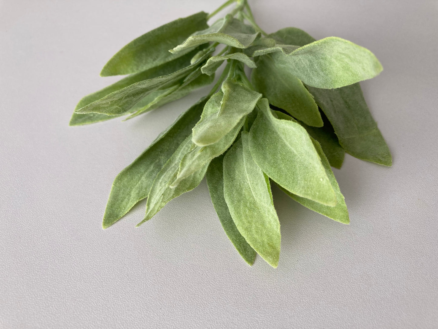 Flocked Sage Foliage Spray