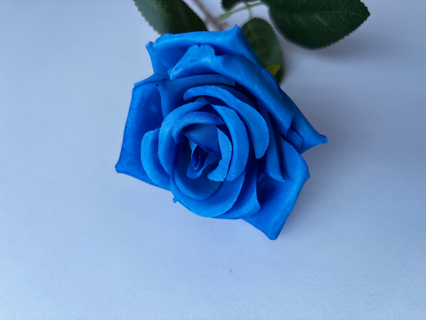 Diamond Blue Rose Stem