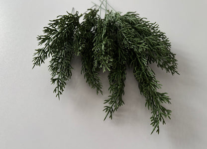 10 Cypress Branch Stems