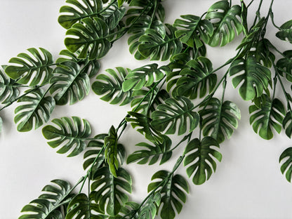Trailing Monstera Leaf