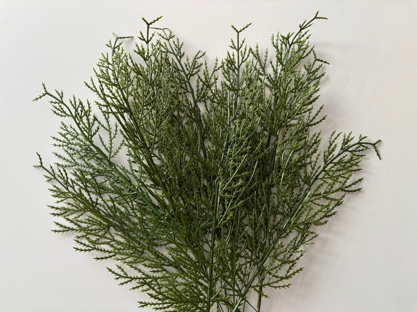 10 Cedar Single Stems