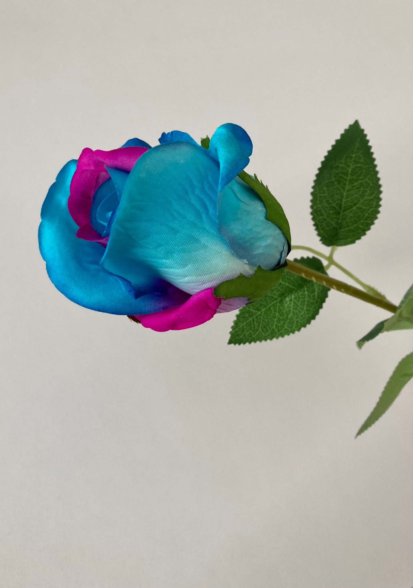 55cm Velvet Blue & Pink Rosebud