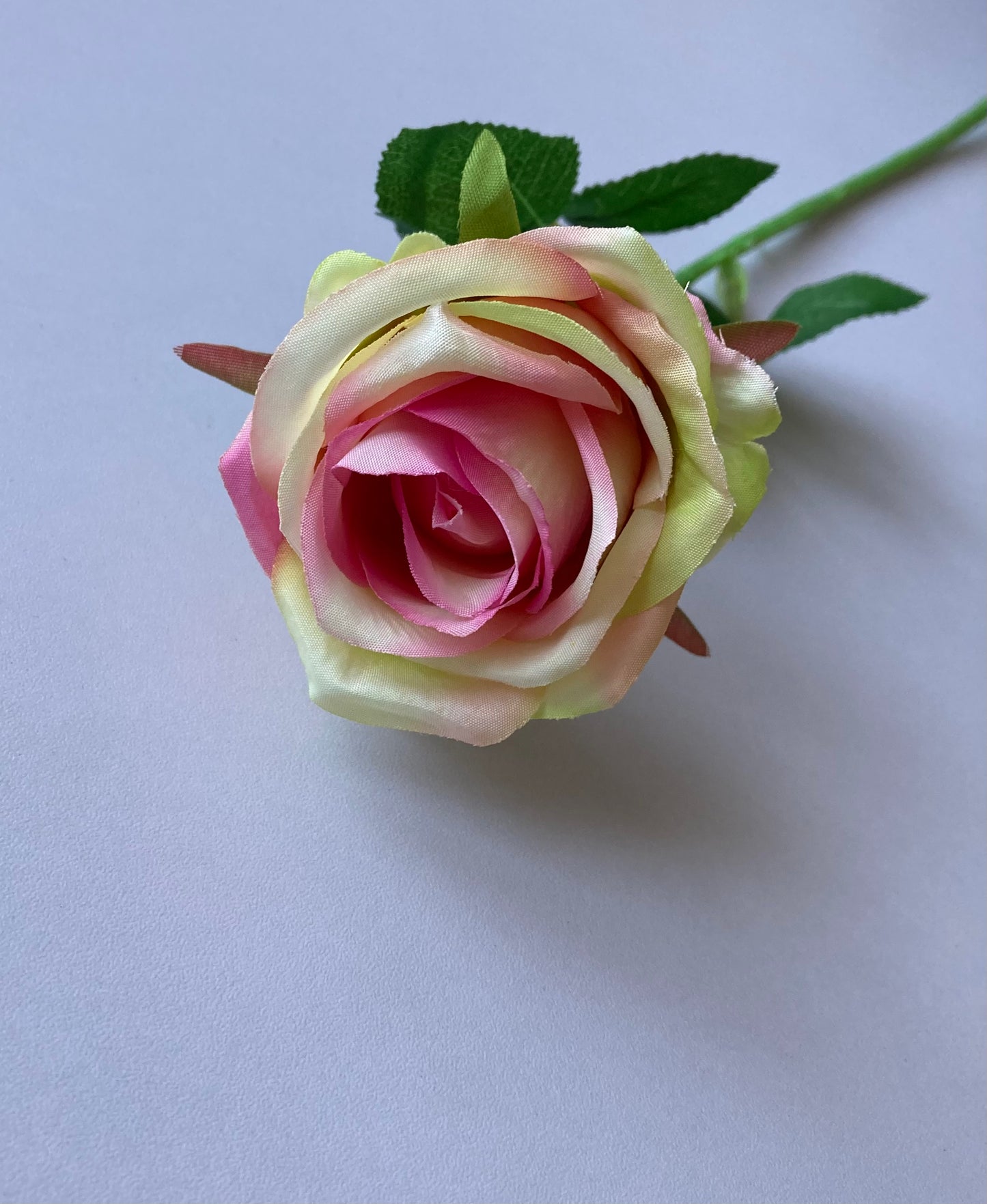 Pink & Green Small Rose