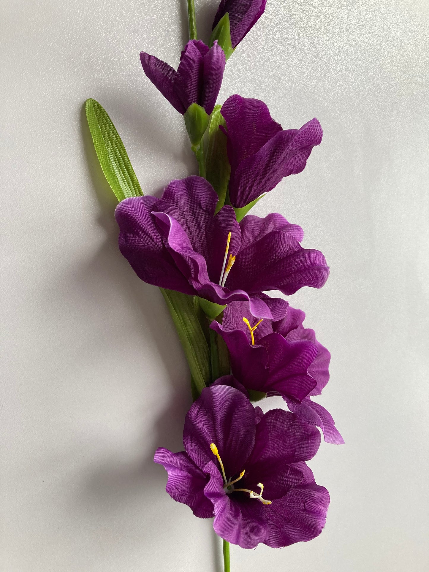 Purple Gladiolus Spray