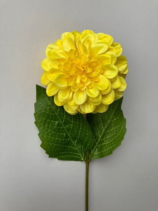 Yellow Zinnia Stem