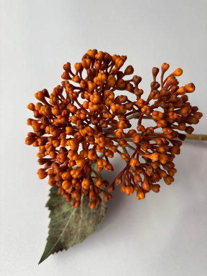 Autumn Hydrangea Berry Stem Orange
