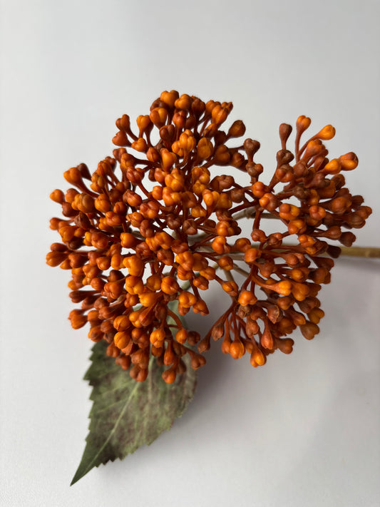 Autumn Hydrangea Berry Stem Orange