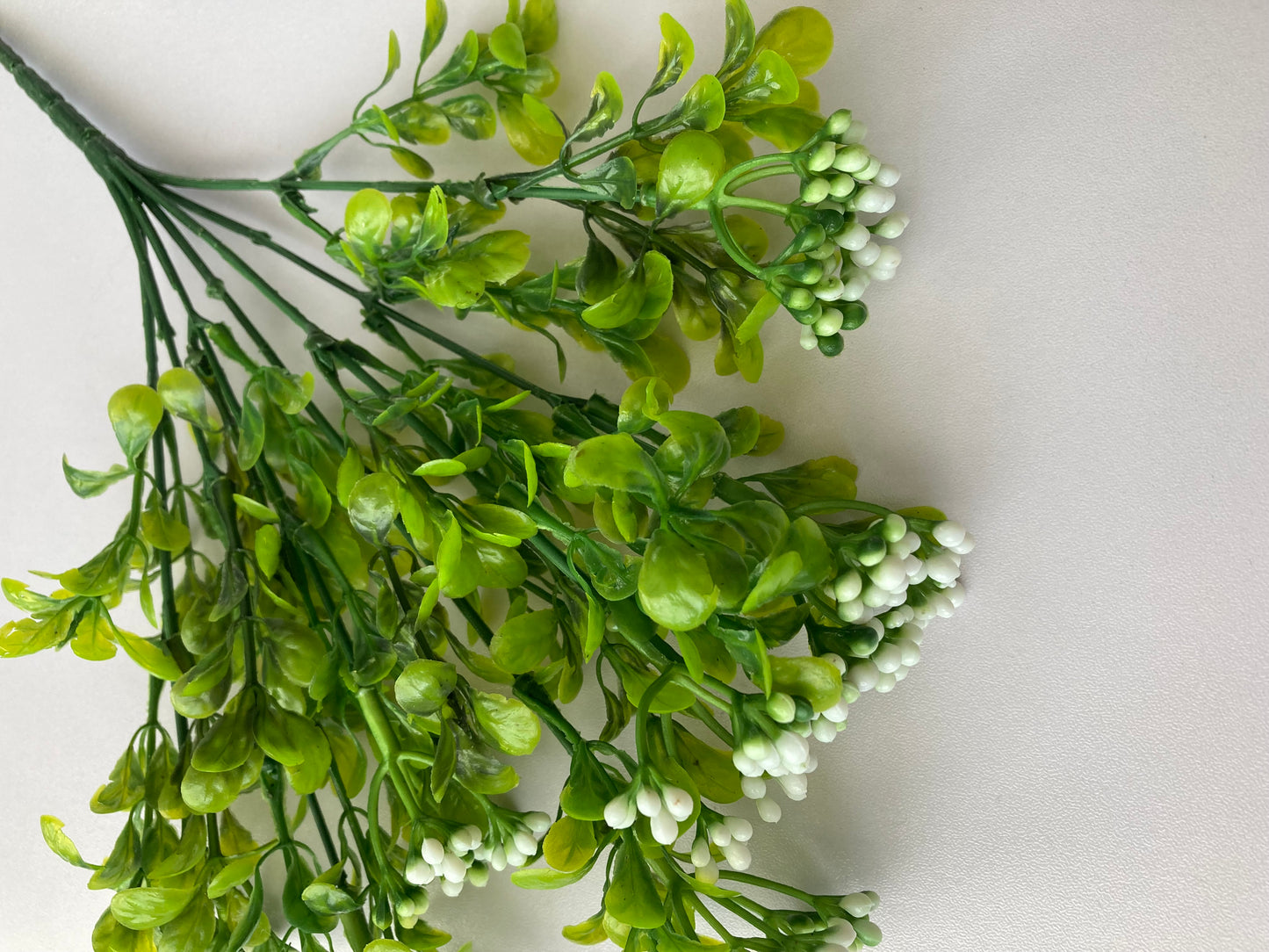 White Berry & foliage