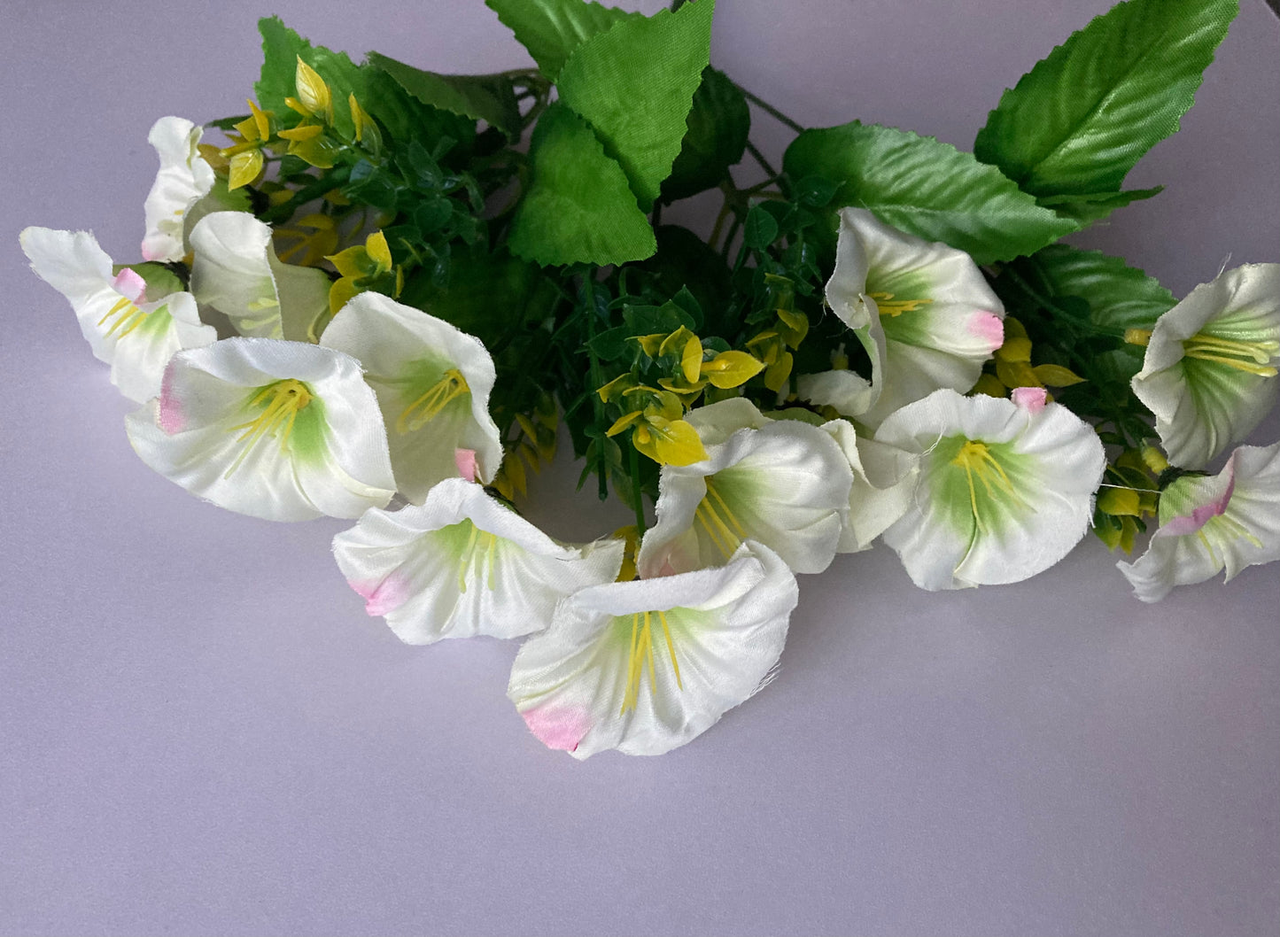 White Morning Glory Bunch