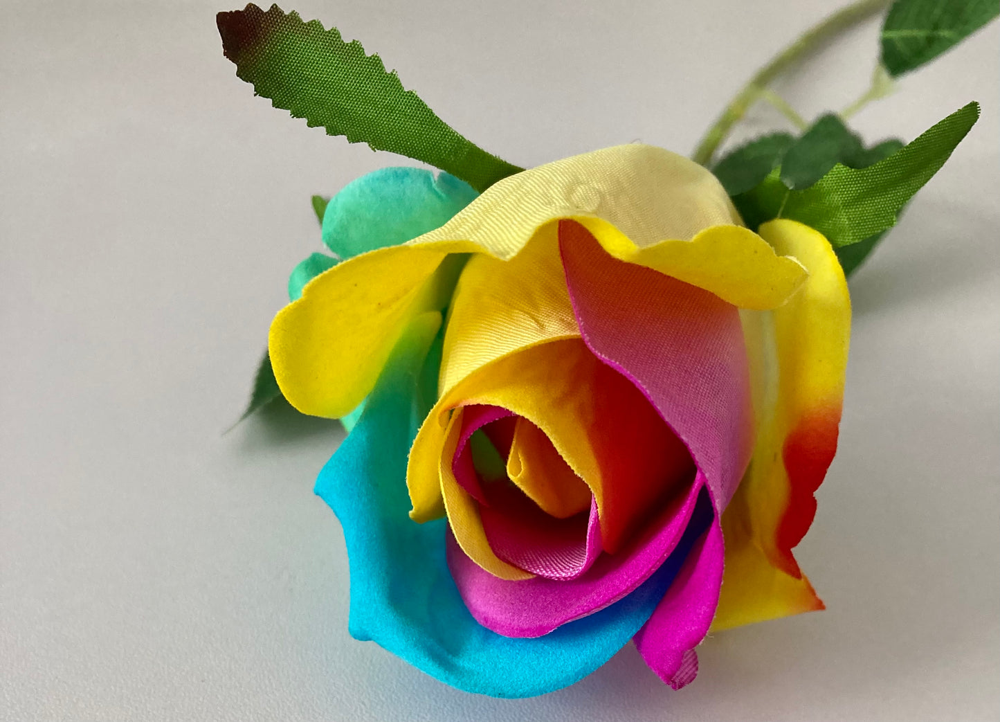 55cm Velvet Rainbow Rosebud