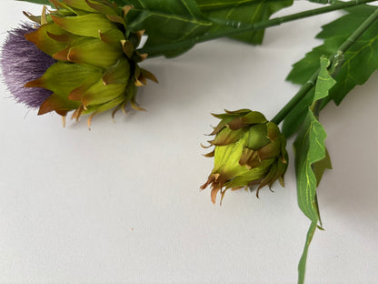 Thistle Spray