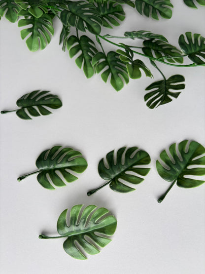 Trailing Monstera Leaf