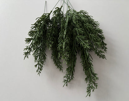 10 Cypress Branch Stems