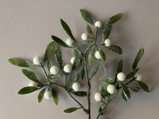 Snowy Mistletoe Spray