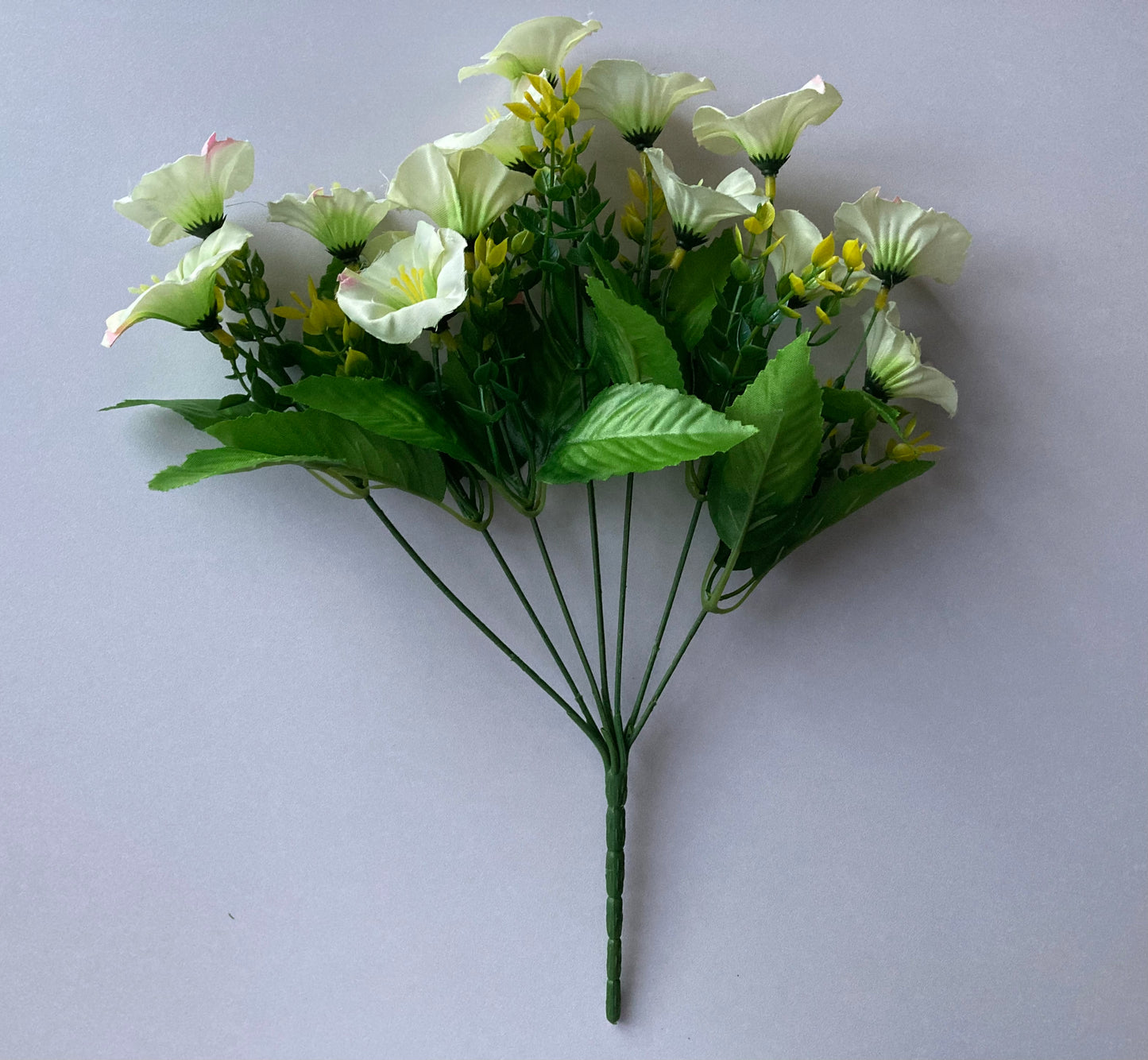 White Morning Glory Bunch