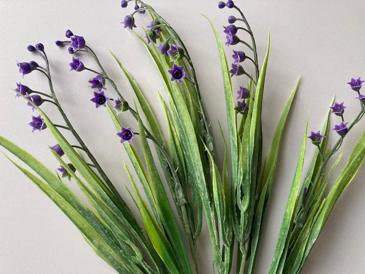 Purple Lily Of The Valley