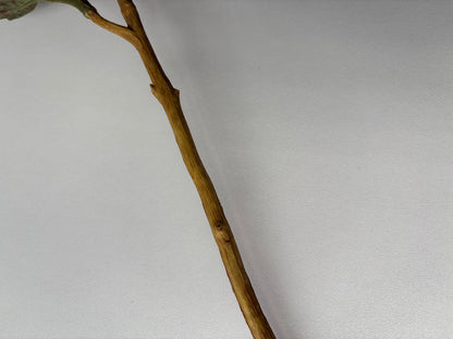 Mustard/Yellow Hydrangea Berry Stem