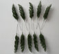 10 Cypress Branch Stems
