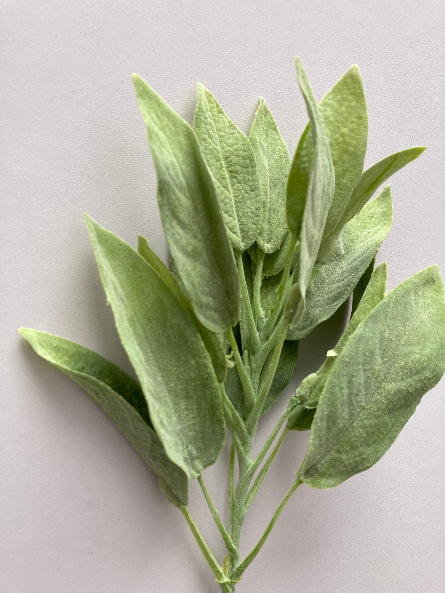 Flocked Sage Foliage Spray