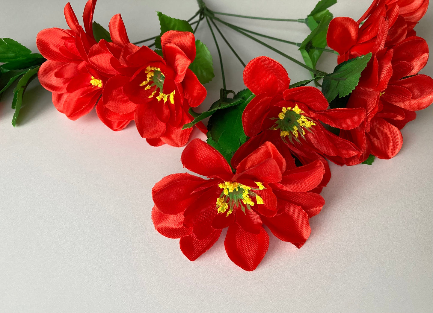 Red Dahlia Bunch