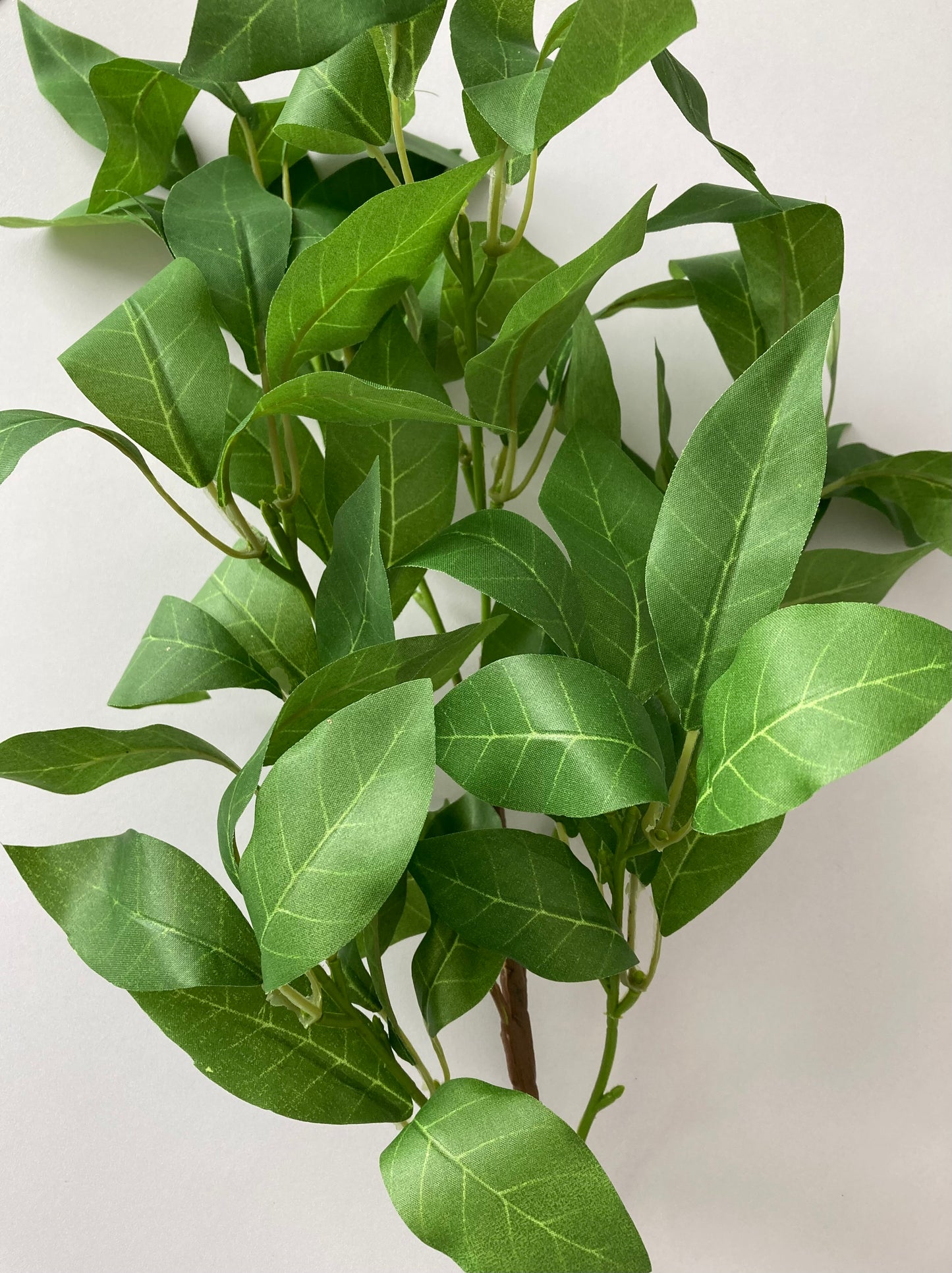 Large Shikibi Leaf Spray