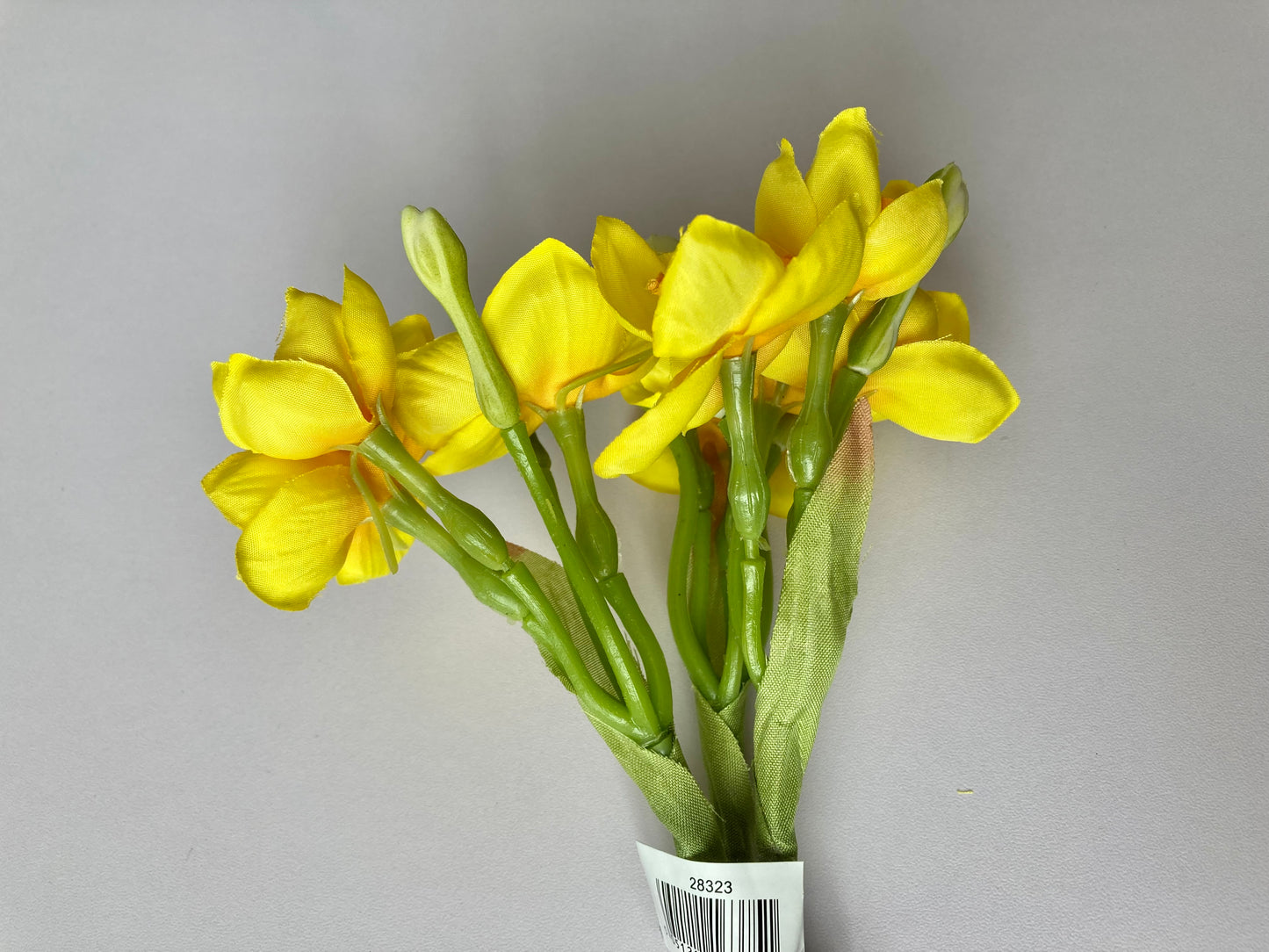 Small Daffodil Bunch