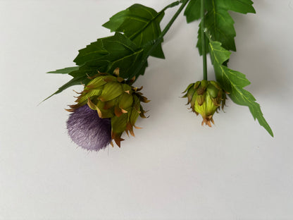 Thistle Spray
